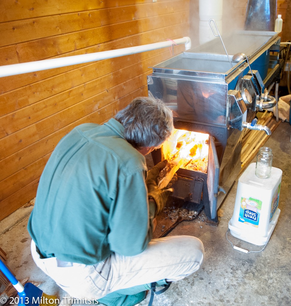 Paul Koval adding firewood to boil maple sap