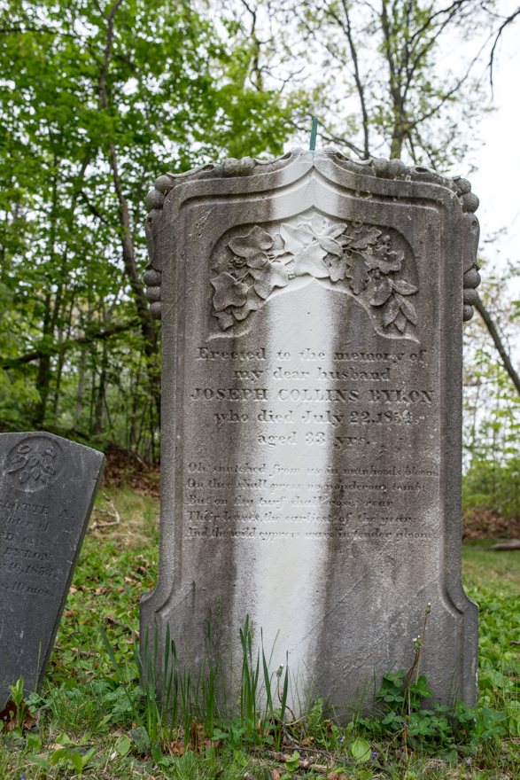 marble gravestone with copper spike retarding growth of lichen