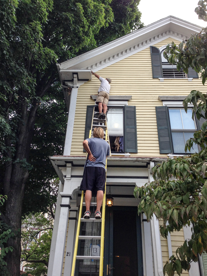 Carpenters rescuing cat from rooflet